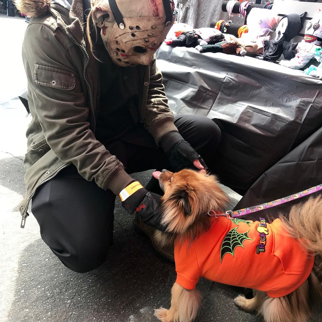 Jason with dog at Halloween Club